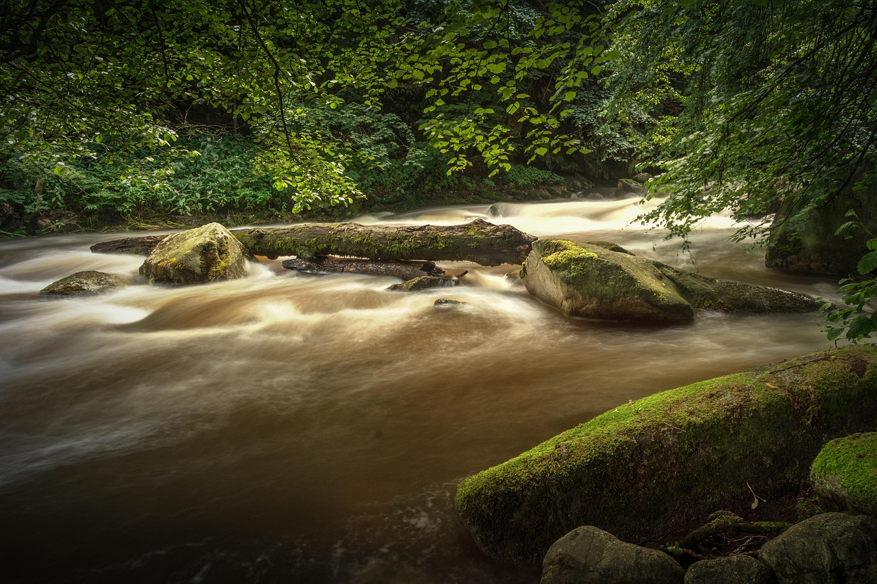découvrez thales, un leader mondial des hautes technologies, spécialisé dans l'aérospatiale, la défense, la sécurité et le transport, reconnu pour son expertise en innovation et solutions numériques.