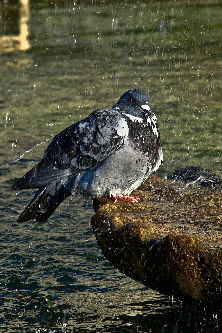 découvrez les ats (applicant tracking systems), des outils essentiels pour gérer le processus de recrutement de manière efficace et optimiser le suivi des candidatures. simplifiez votre recherche de talents et améliorez l'expérience de vos candidats.