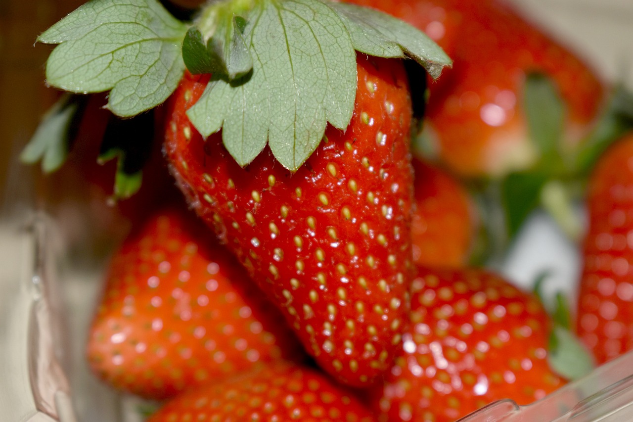 découvrez tous les avantages et bénéfices pour améliorer votre quotidien, votre santé et votre productivité. bénéficiez de conseils pratiques et d'informations utiles pour une vie meilleure.