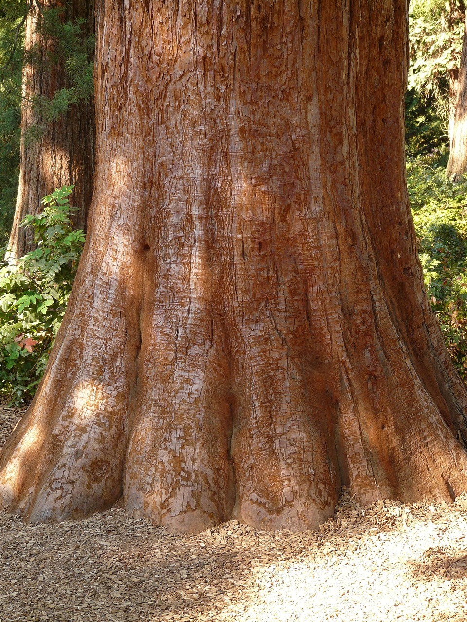 découvrez le concept de 'scope', un terme essentiel en gestion de projet qui définit les objectifs, livrables et limites d'un projet. apprenez à maîtriser l'importance de cerner le champ d'application pour assurer le succès de vos projets.