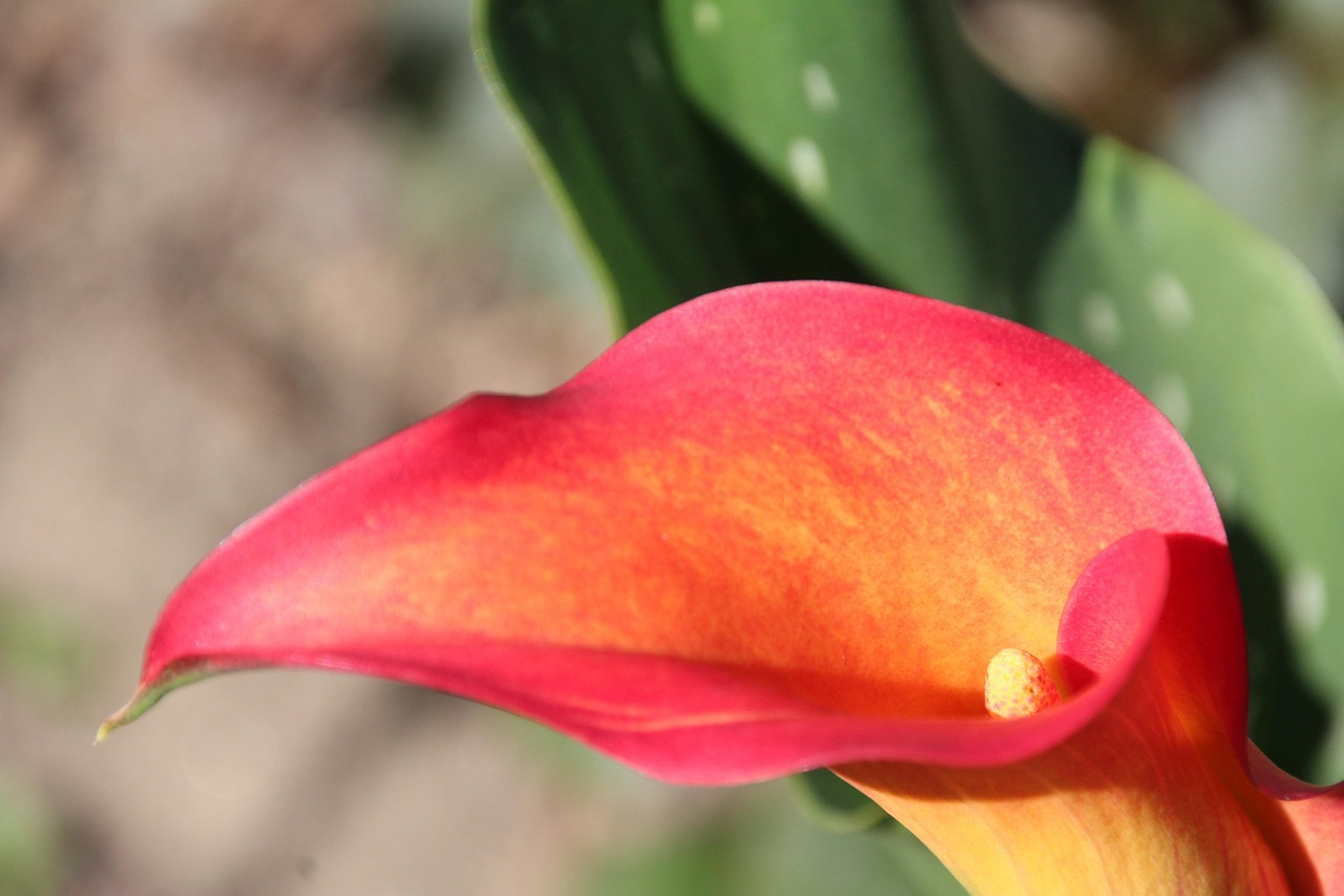 découvrez comment optimiser votre sales funnel pour attirer plus de prospects, augmenter vos conversions et booster vos ventes grâce à des stratégies efficaces et personnalisées.