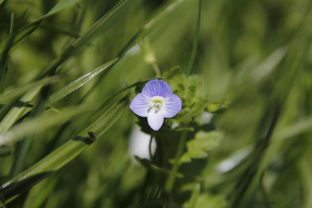 PME : Comment optimiser sa gestion pour stimuler la croissance