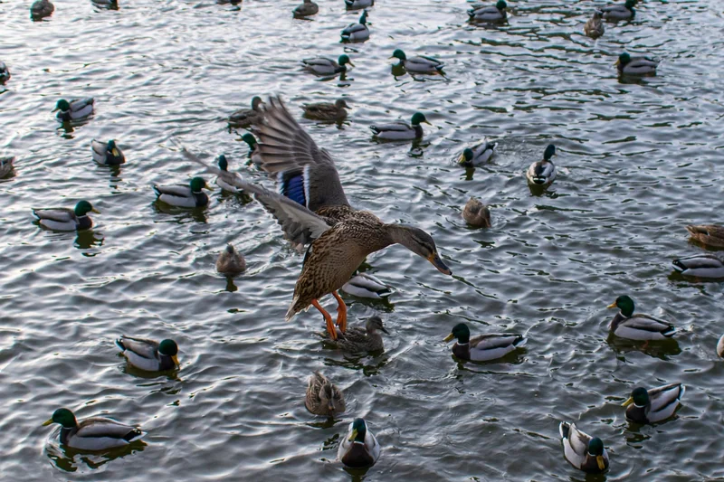 Débloquer les objets cachés et de carrière