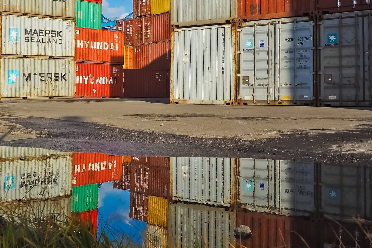 Comprendre les réseaux de distribution : fonctionnement et enjeux