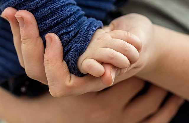 Pension alimentaire pour enfant majeur : est-il possible de refuser les justificatifs ?