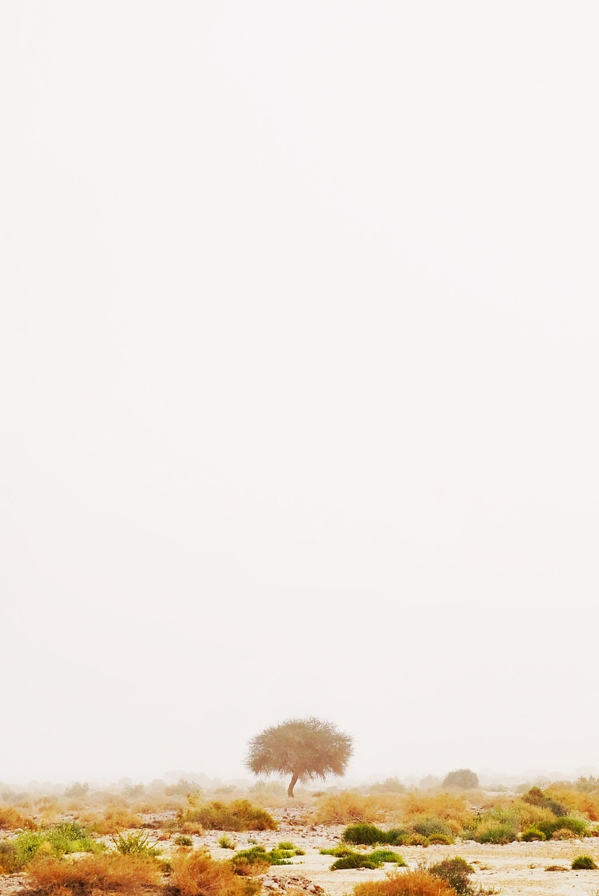 5 conseils pour améliorer votre productivité en télétravail efficacement