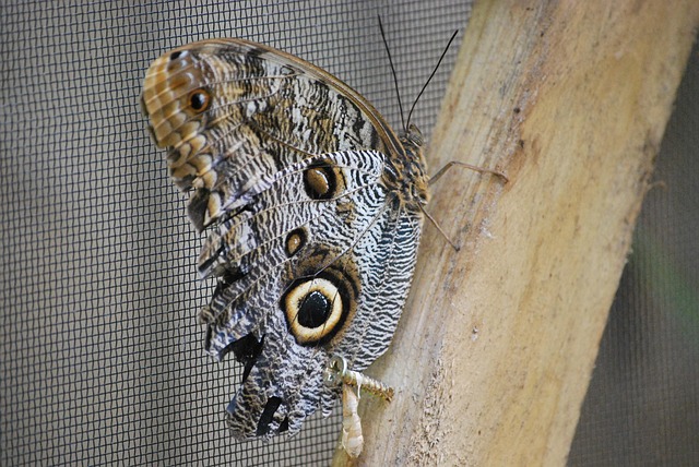 Lead scoring : Comprendre cette méthode pour améliorer votre conversion