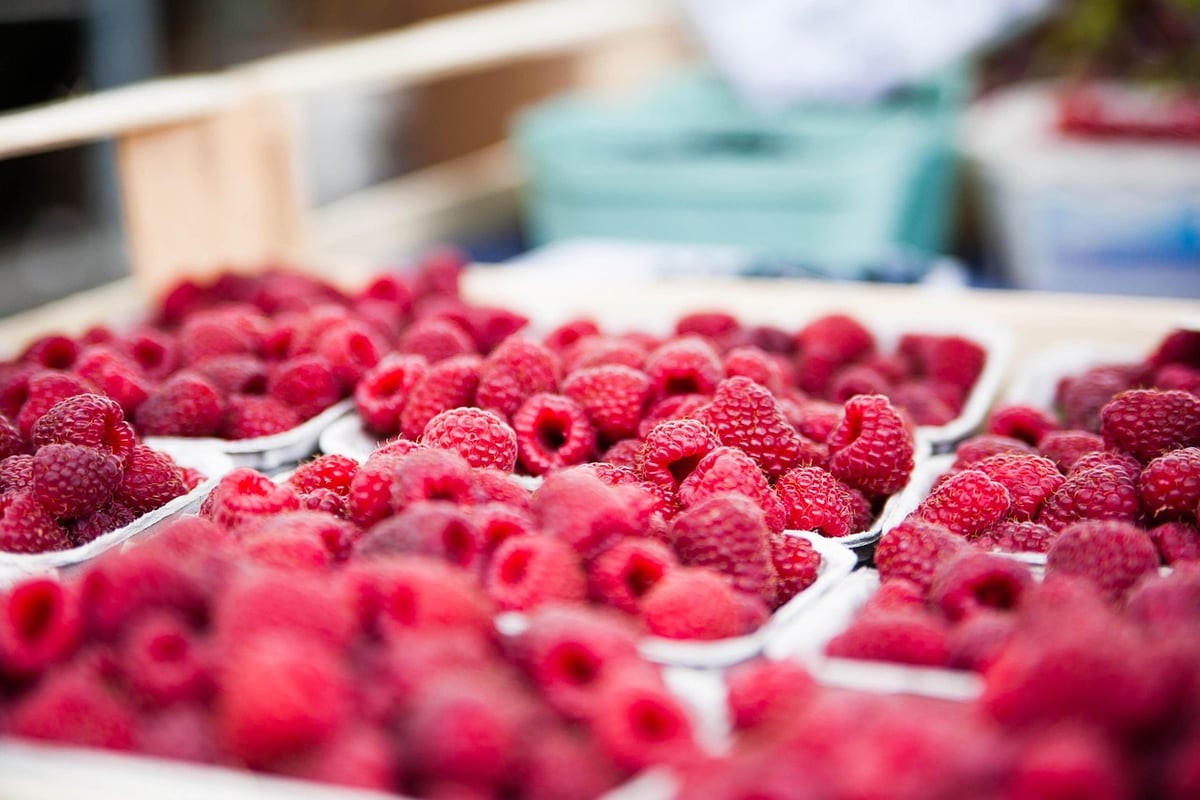 Comprendre le marché saturé : enjeux et stratégies pour se démarquer
