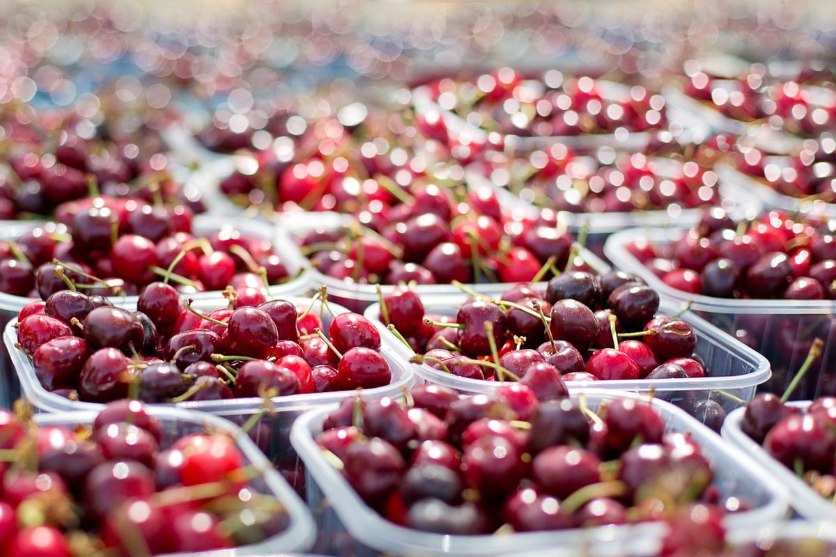 Les clés de l’expansion de marché pour les entreprises en croissance