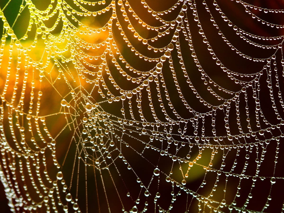 Comprendre les bases des web analytics pour optimiser votre site