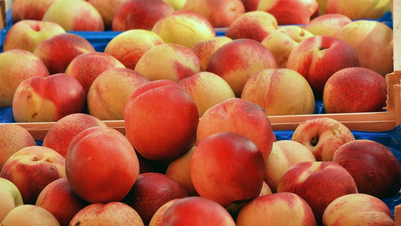 découvrez les fondamentaux de la segmentation de marché : apprenez comment diviser votre audience en segments spécifiques pour mieux cibler vos stratégies marketing et optimiser vos efforts commerciaux.