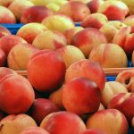 Segment de marché : Comprendre sa définition et son importance dans la stratégie commerciale