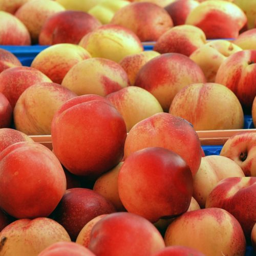 découvrez les fondamentaux de la segmentation de marché : apprenez comment diviser votre audience en segments spécifiques pour mieux cibler vos stratégies marketing et optimiser vos efforts commerciaux.