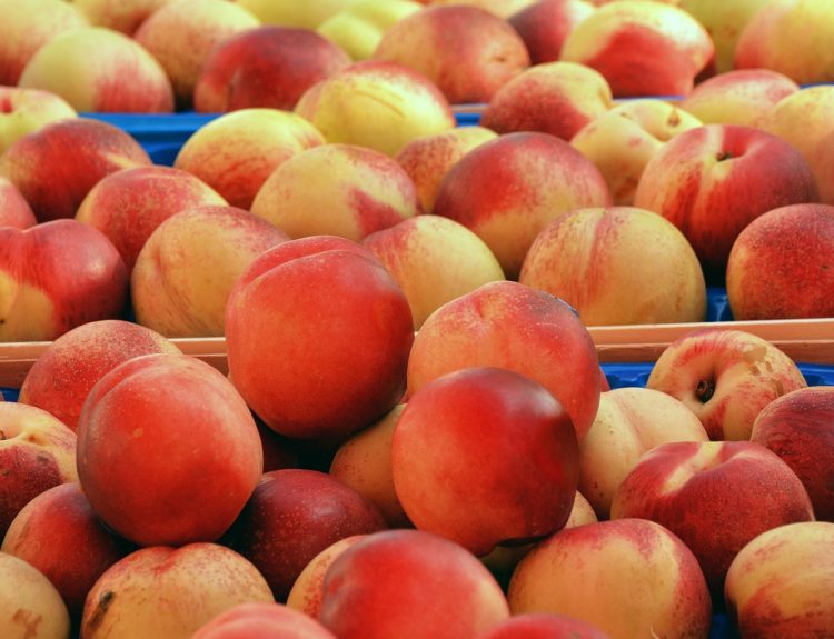 découvrez les fondamentaux de la segmentation de marché : apprenez comment diviser votre audience en segments spécifiques pour mieux cibler vos stratégies marketing et optimiser vos efforts commerciaux.