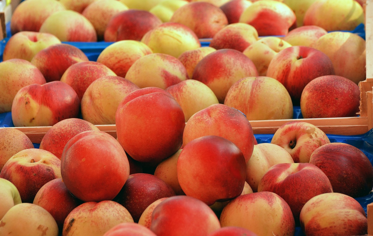 découvrez les fondamentaux de la segmentation de marché : apprenez comment diviser votre audience en segments spécifiques pour mieux cibler vos stratégies marketing et optimiser vos efforts commerciaux.