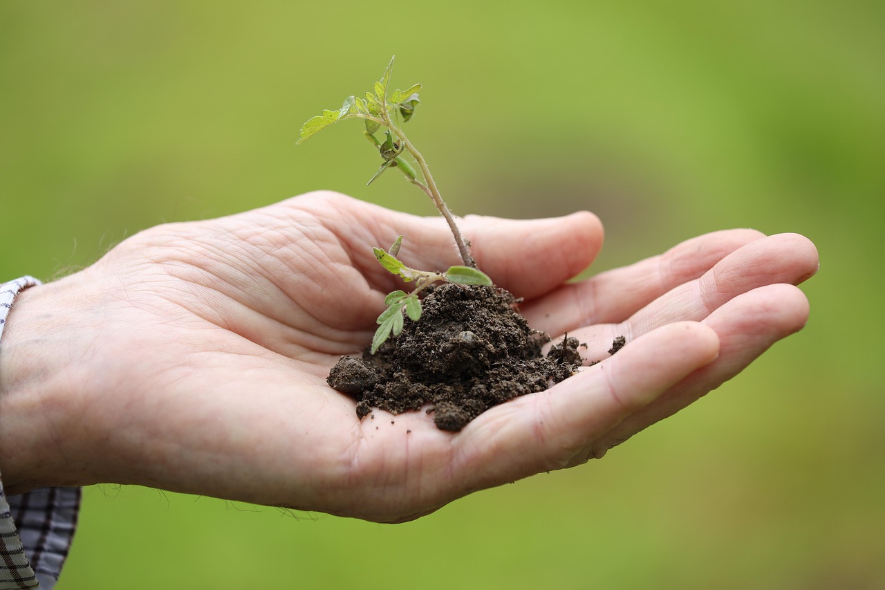 découvrez comment le lead nurturing peut transformer vos prospects en clients fidèles. apprenez à entretenir des relations durables grâce à des stratégies personnalisées d'engagement et de suivi. améliorez votre taux de conversion avec des techniques efficaces de nurturing adaptées à votre audience.