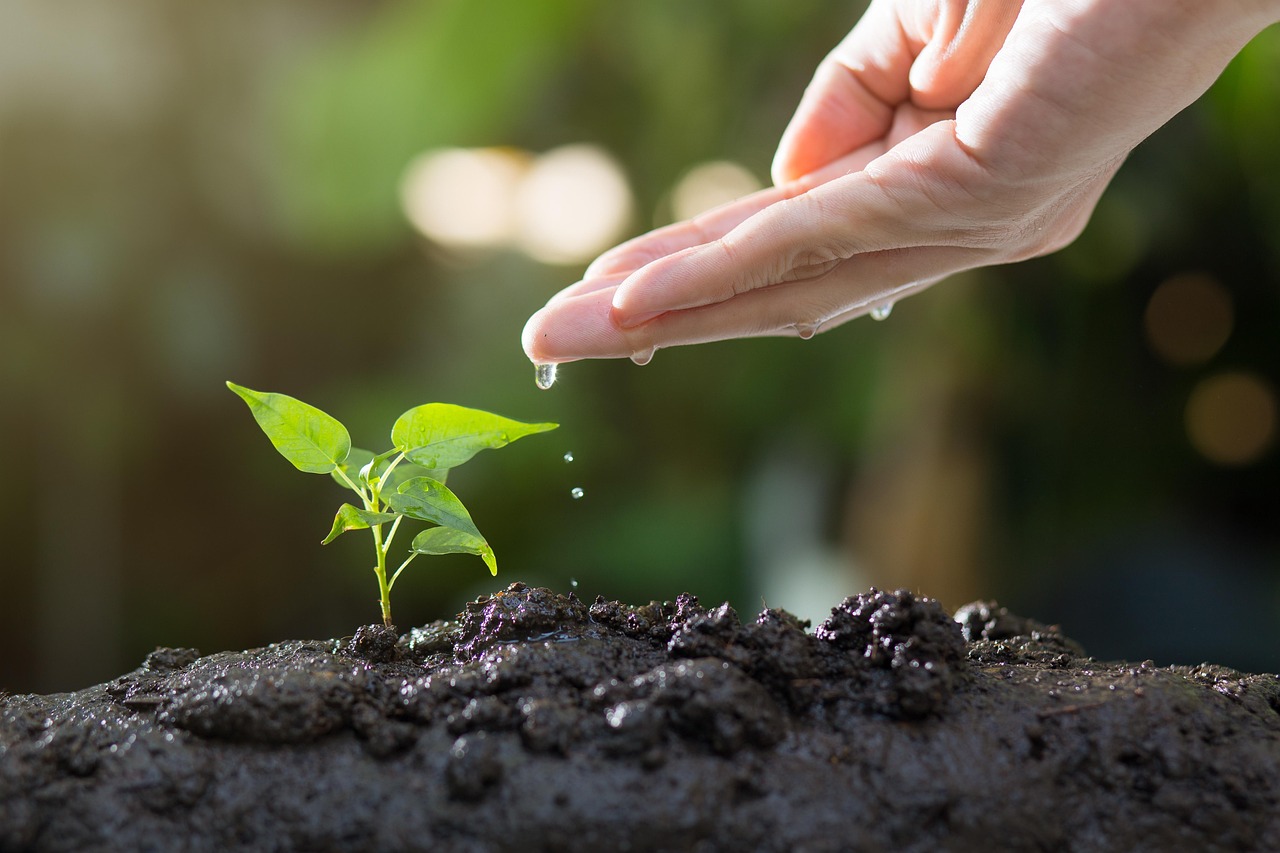découvrez les stratégies efficaces de lead nurturing pour cultiver vos prospects et transformer vos leads froids en clients fidèles. optimisez vos campagnes marketing et améliorez votre taux de conversion grâce à des techniques personnalisées et automatisées.