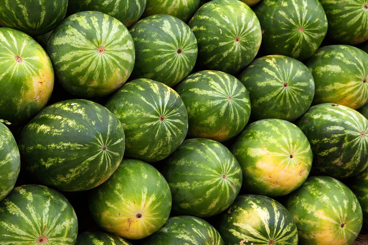 découvrez les clés d'une évaluation de marché réussie pour optimiser vos stratégies commerciales. analyse approfondie, tendances, et insights pour prendre des décisions éclairées et assurées.