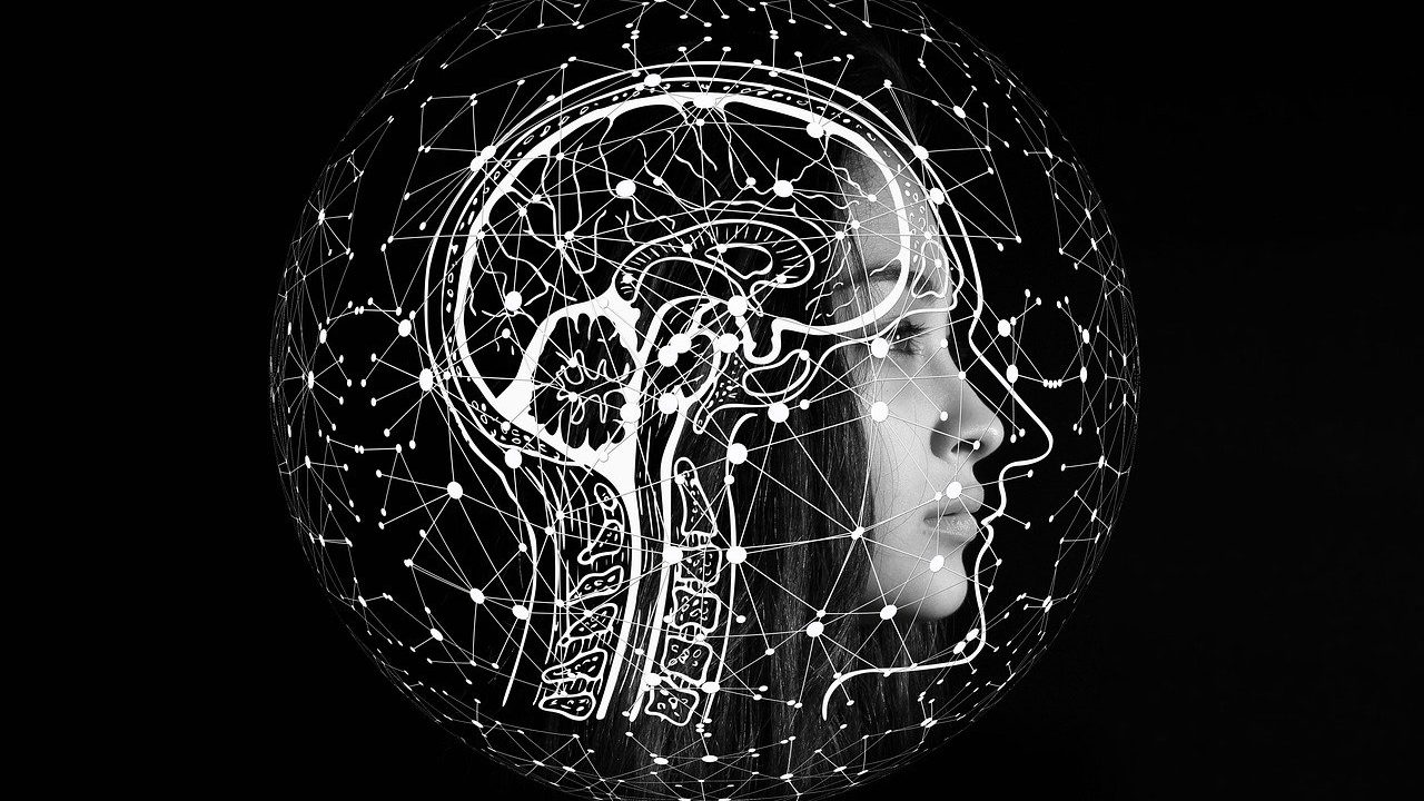 découvrez comment la business intelligence transforme les données en informations stratégiques pour optimiser la prise de décision, améliorer la performance et stimuler la croissance de votre entreprise.