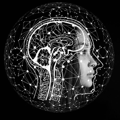 découvrez comment la business intelligence transforme les données en informations stratégiques pour optimiser la prise de décision, améliorer la performance et stimuler la croissance de votre entreprise.