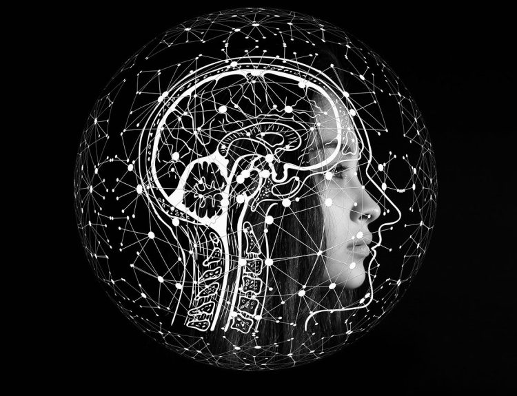 découvrez comment la business intelligence transforme les données en informations stratégiques pour optimiser la prise de décision, améliorer la performance et stimuler la croissance de votre entreprise.