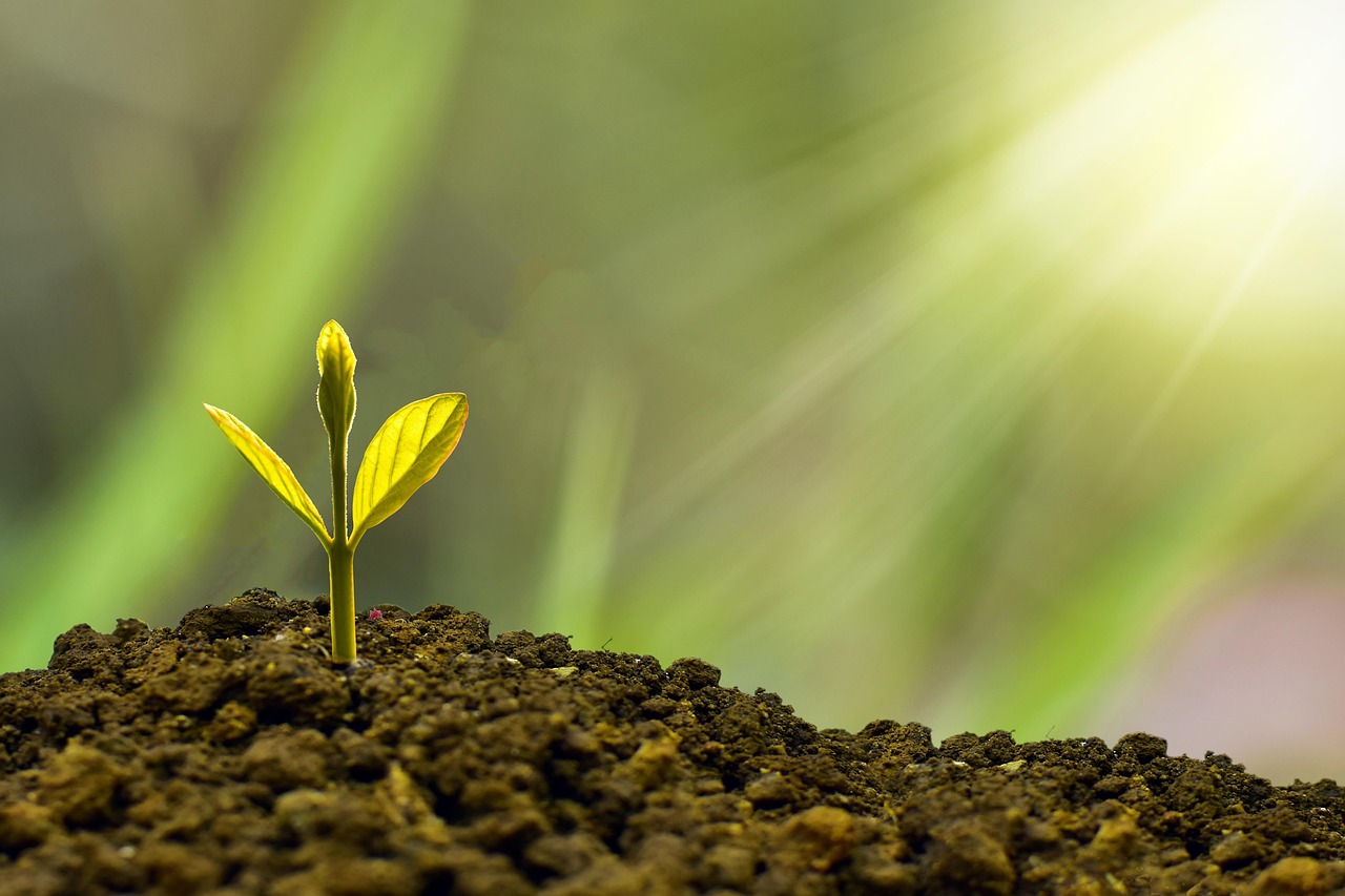 découvrez ce qu'est la profit margin (marge bénéficiaire), comment elle se calcule et pourquoi elle est essentielle pour évaluer la rentabilité d'une entreprise. conseils et exemples pour optimiser votre marge.