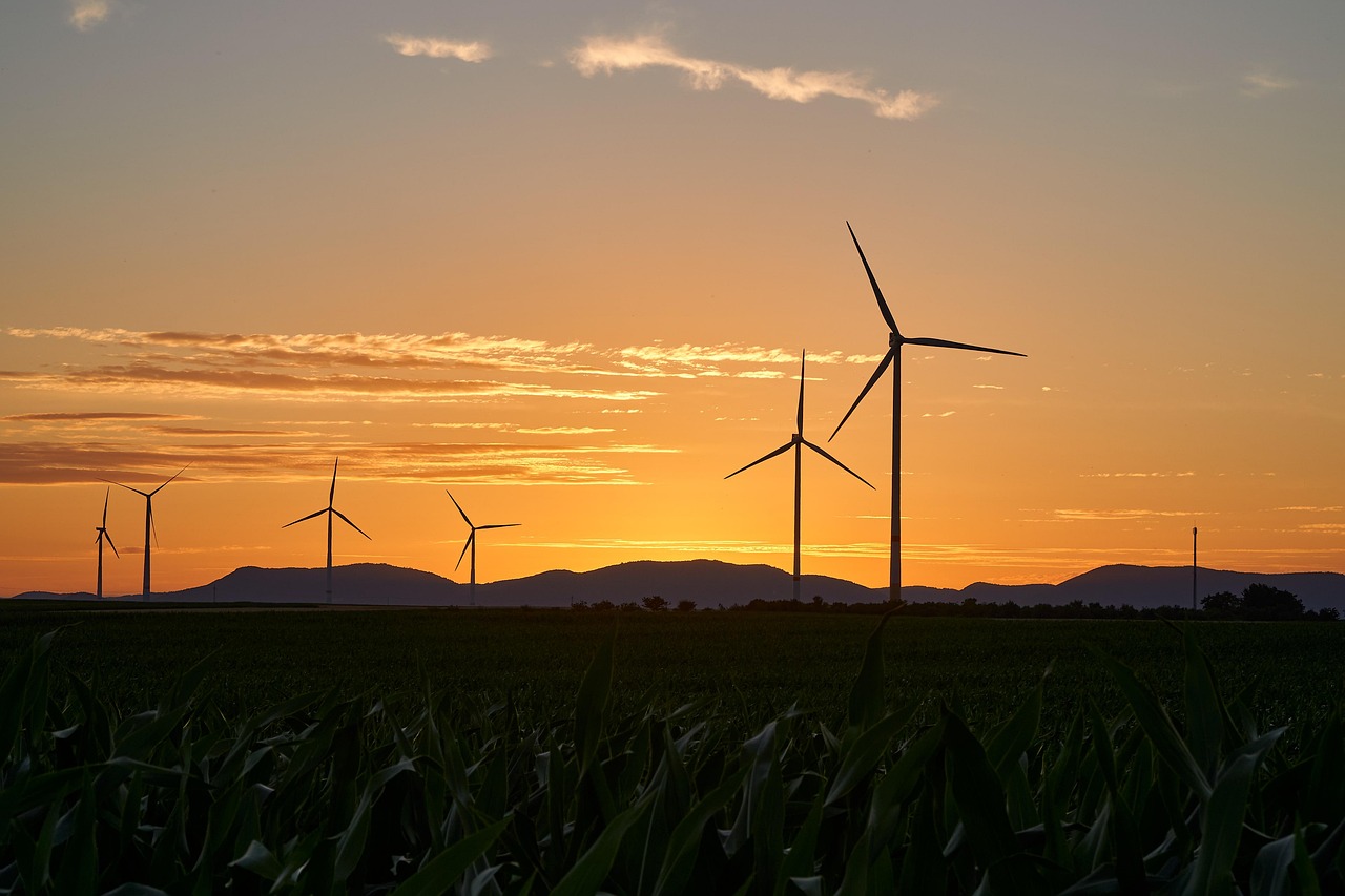 découvrez comment atteindre un succès durable grâce à des pratiques responsables et innovantes. adoptez une approche éthique pour assurer la croissance à long terme de votre entreprise ou projet.