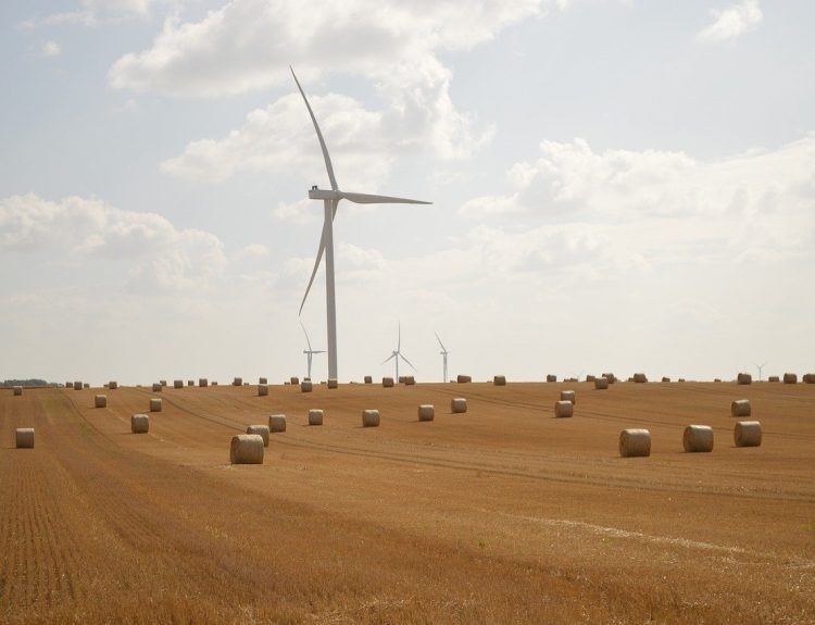 découvrez les clés du succès durable : stratégies, conseils et bonnes pratiques pour bâtir une réussite responsable et pérenne, adaptée aux enjeux actuels.