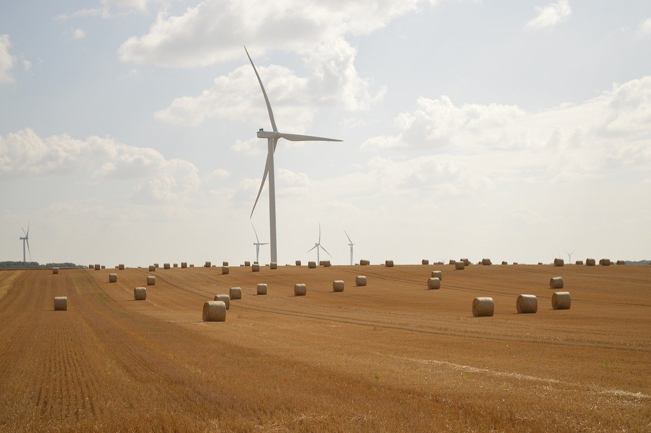 découvrez les clés du succès durable : stratégies, conseils et bonnes pratiques pour bâtir une réussite responsable et pérenne, adaptée aux enjeux actuels.