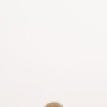 5 conseils pour am&eacute;liorer votre productivit&eacute; en t&eacute;l&eacute;travail efficacement